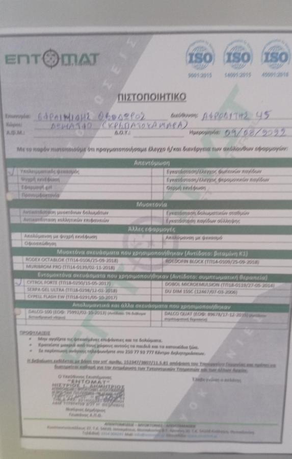 Studio In Thessaloniki Near Airport And Exit For Chalkidiki Apartment Exterior foto
